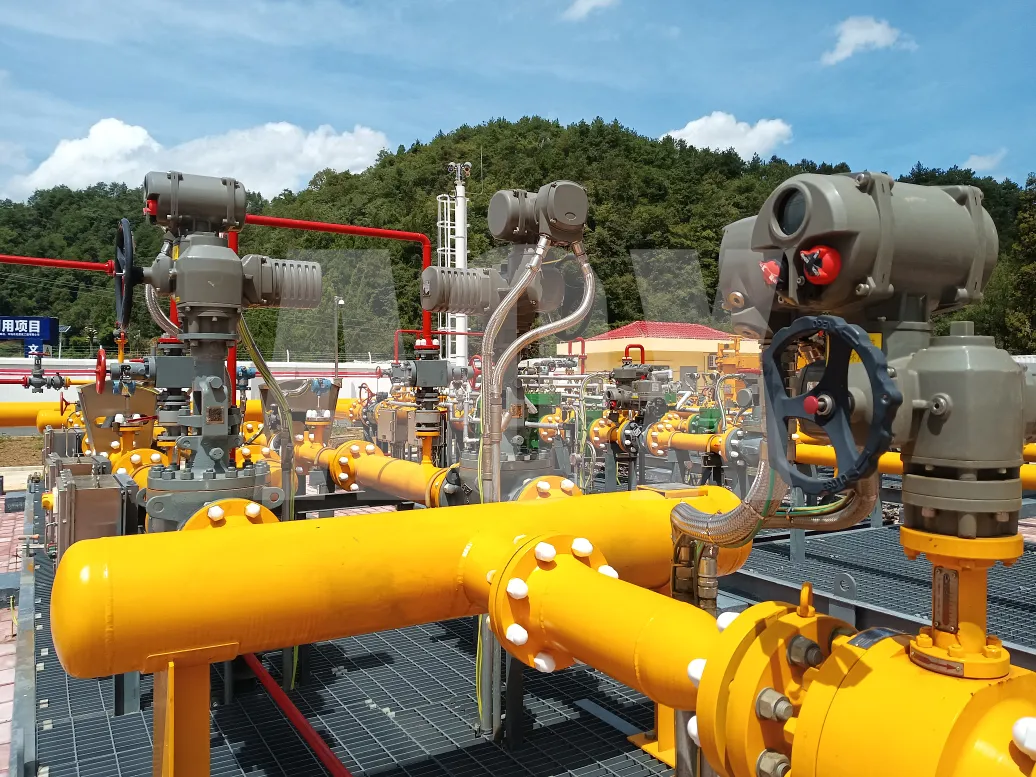 1762764566343565.png c61fc1a9-50ea-4664-9417-eb96381852cf.png