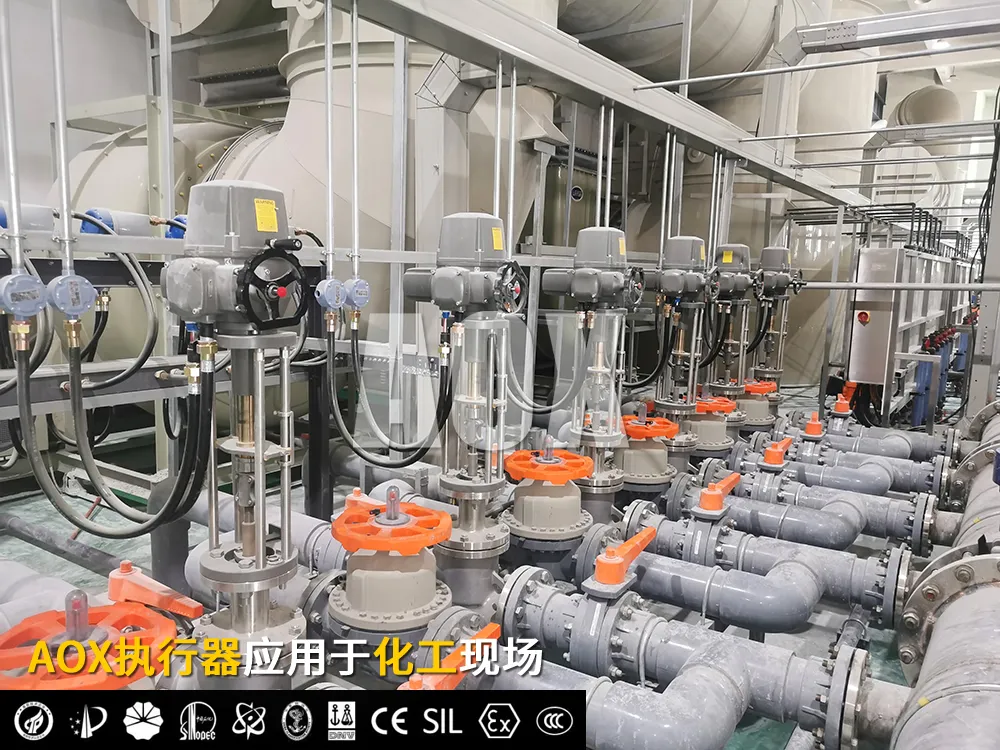 1763781325605144.png 圖片1.png