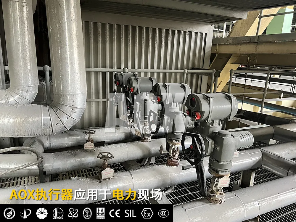 1763781342759291.png 圖片2.png