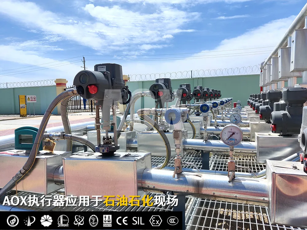 1763781360196997.png 圖片3.png