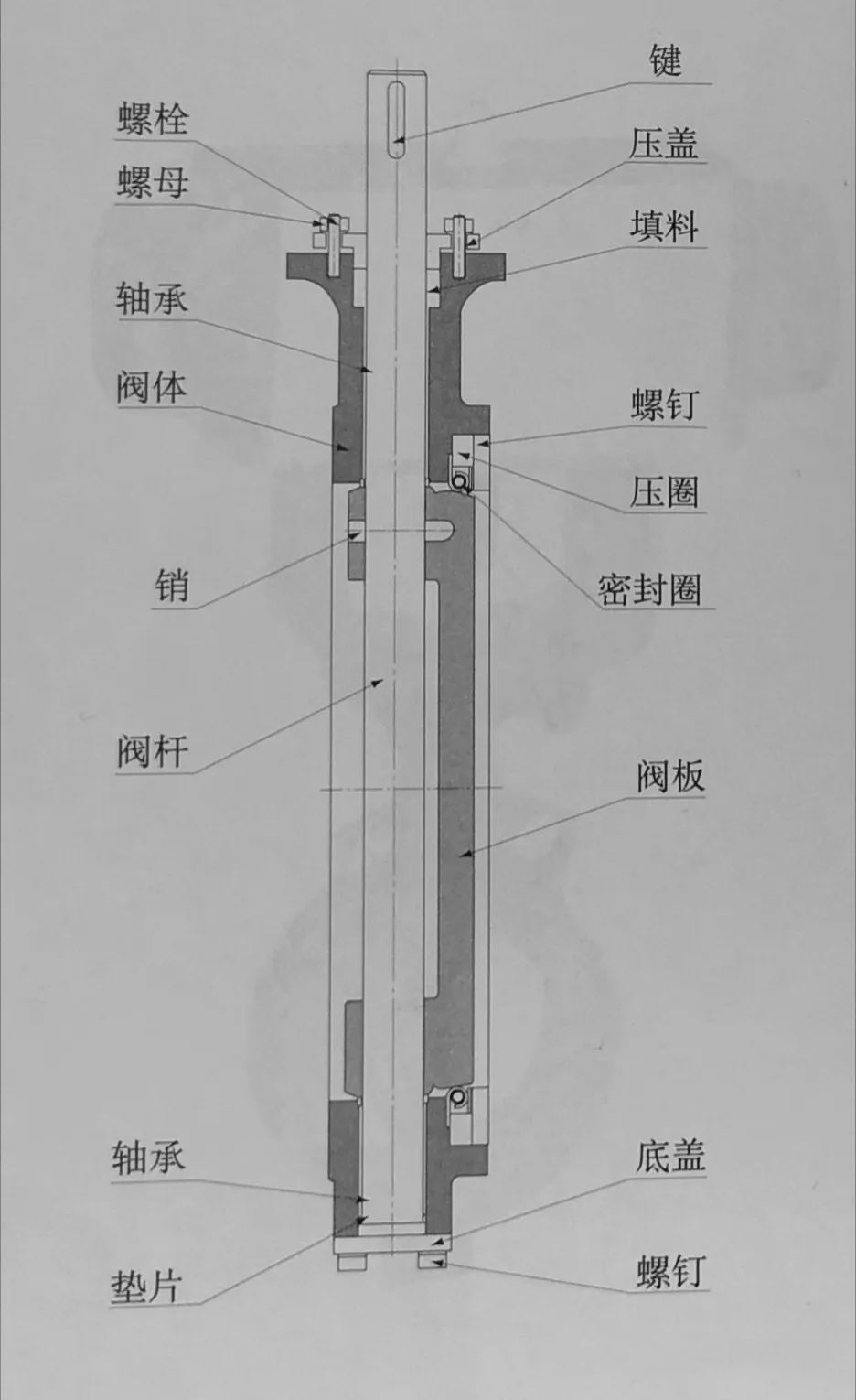電動(dòng)雙偏心密封蝶閥閥體結(jié)構(gòu).jpg 電動(dòng)雙偏心密封蝶閥閥體結(jié)構(gòu).jpg